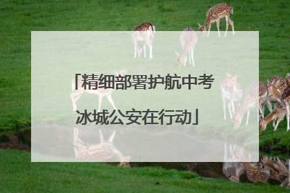 精细部署护航中考 冰城公安在行动
