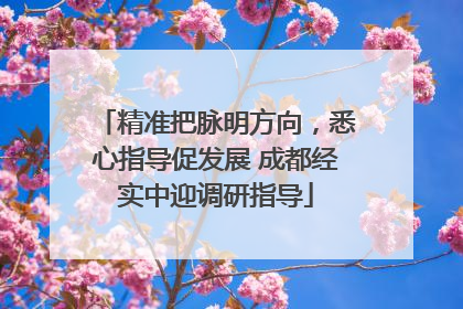 精准把脉明方向，悉心指导促发展 成都经实中迎调研指导