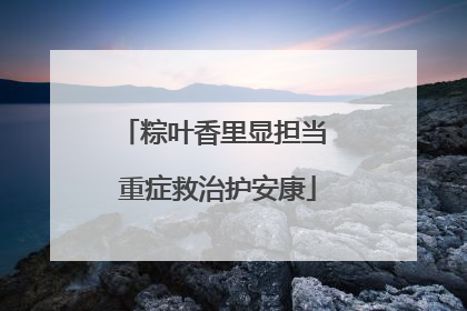 粽叶香里显担当 重症救治护安康