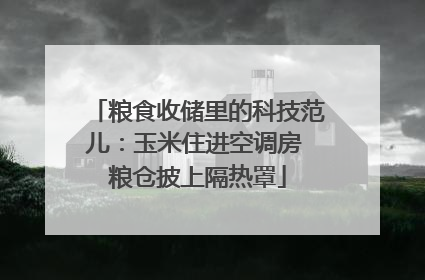 粮食收储里的科技范儿：玉米住进空调房 粮仓披上隔热罩