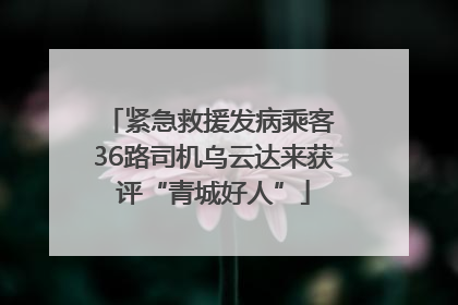 紧急救援发病乘客 36路司机乌云达来获评“青城好人”