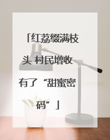 红荔缀满枝头 村民增收有了“甜蜜密码”