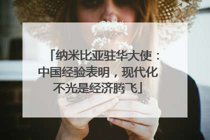 纳米比亚驻华大使：中国经验表明，现代化不光是经济腾飞