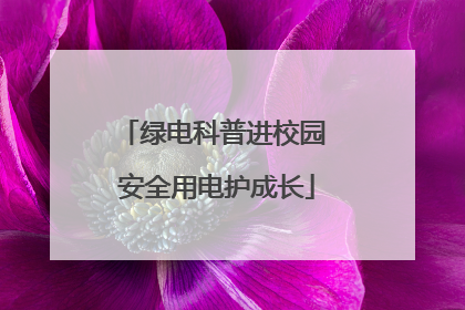 绿电科普进校园 安全用电护成长