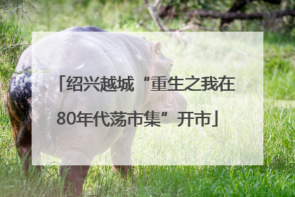 绍兴越城“重生之我在80年代荡市集”开市