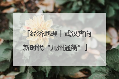 经济地理丨武汉奔向新时代“九州通衢”