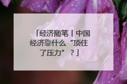 经济随笔丨中国经济靠什么“顶住了压力”？