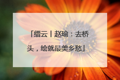 缙云丨赵瑜：去桥头，绘就最美乡愁