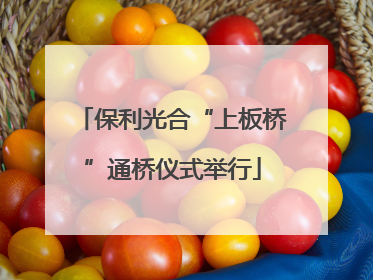 保利光合“上板桥”通桥仪式举行