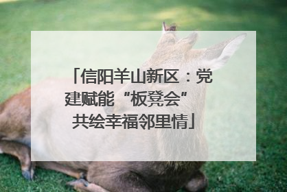 信阳羊山新区：党建赋能“板凳会” 共绘幸福邻里情
