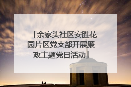 余家头社区安胜花园片区党支部开展廉政主题党日活动