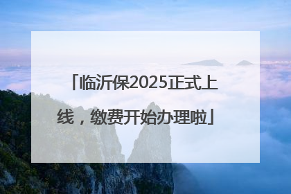 临沂保2025正式上线，缴费开始办理啦