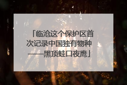 临沧这个保护区首次记录中国独有物种——黑顶蛙口夜鹰