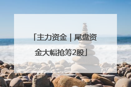 主力资金｜尾盘资金大幅抢筹2股