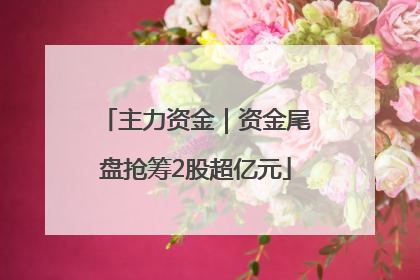 主力资金｜资金尾盘抢筹2股超亿元