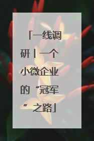 一线调研丨一个小微企业的“冠军”之路