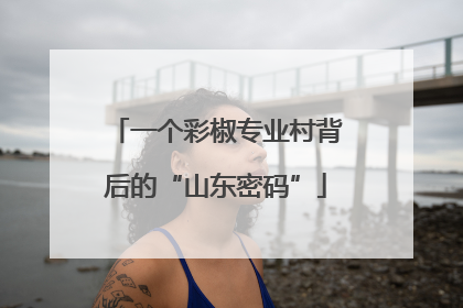 一个彩椒专业村背后的“山东密码”