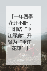 一年四季花开不断，三阳路“垂江绿廊”升级为“垂江花廊”