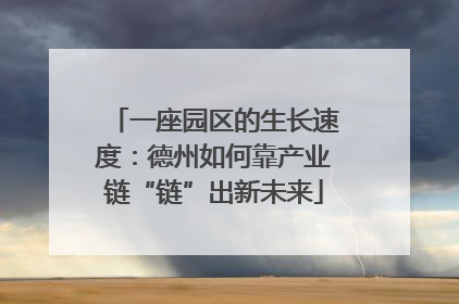 一座园区的生长速度：德州如何靠产业链“链”出新未来