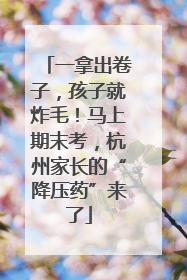 一拿出卷子，孩子就炸毛！马上期末考，杭州家长的“降压药”来了