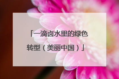 一滴卤水里的绿色转型（美丽中国）