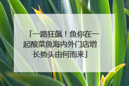 一路狂飙！鱼你在一起酸菜鱼海内外门店增长势头由何而来
