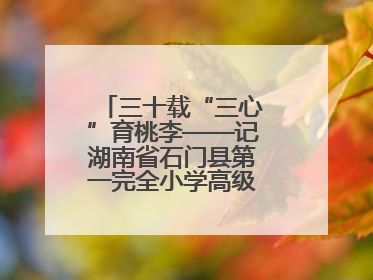 三十载“三心”育桃李——记湖南省石门县第一完全小学高级教师覃玲君