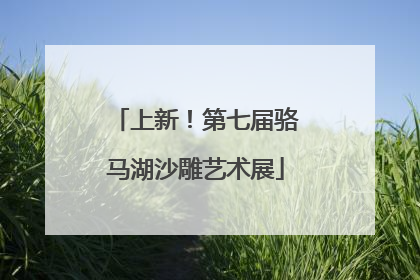 上新！第七届骆马湖沙雕艺术展