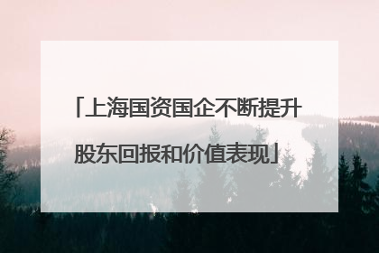 上海国资国企不断提升股东回报和价值表现