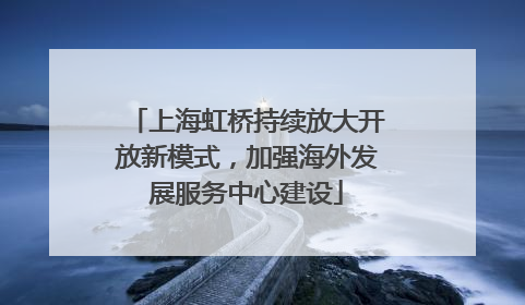上海虹桥持续放大开放新模式，加强海外发展服务中心建设