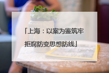 上海：以案为鉴筑牢拒腐防变思想防线