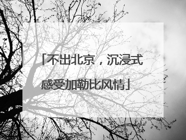 不出北京，沉浸式感受加勒比风情