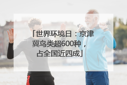 世界环境日：京津冀鸟类超600种，占全国近四成