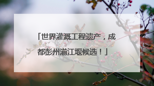 世界灌溉工程遗产，成都彭州湔江堰候选！