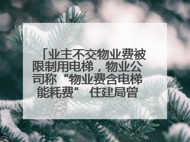 业主不交物业费被限制用电梯，物业公司称“物业费含电梯能耗费” 住建局曾责令整改