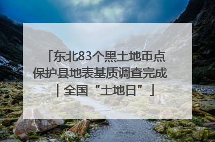 东北83个黑土地重点保护县地表基质调查完成｜全国“土地日”