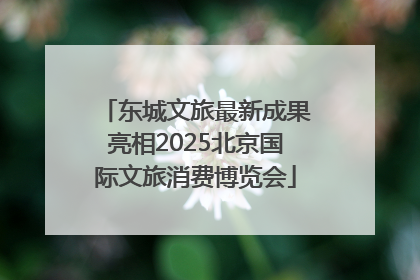 东城文旅最新成果亮相2025北京国际文旅消费博览会