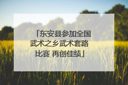 东安县参加全国武术之乡武术套路比赛 再创佳绩