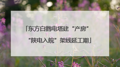 东方白鹳电塔建“产房” “陕电入皖”架线延工期