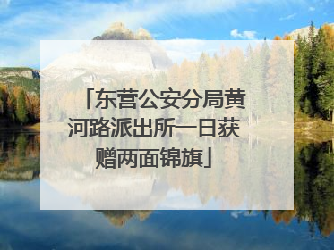 东营公安分局黄河路派出所一日获赠两面锦旗