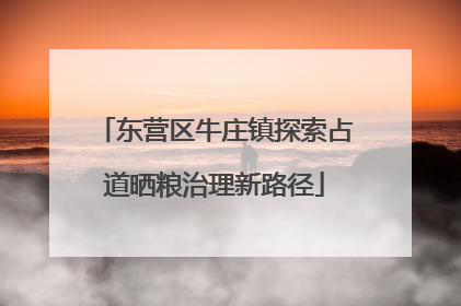 东营区牛庄镇探索占道晒粮治理新路径
