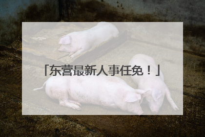 东营最新人事任免！