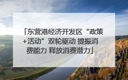 东营港经济开发区“政策+活动”双轮驱动 提振消费能力 释放消费潜力
