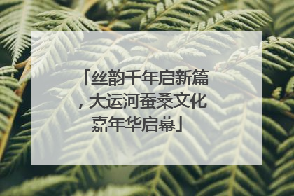 丝韵千年启新篇，大运河蚕桑文化嘉年华启幕