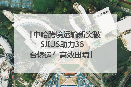 中哈跨境运输新突破 SJIUS助力36台轿运车高效出境