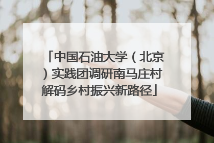 中国石油大学（北京）实践团调研南马庄村解码乡村振兴新路径