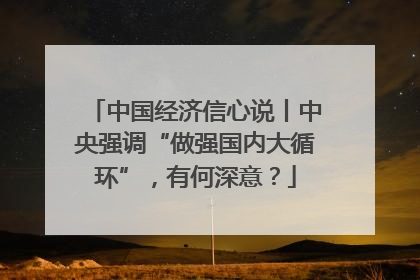 中国经济信心说丨中央强调“做强国内大循环”，有何深意？