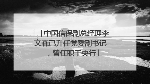中国信保副总经理李文森已升任党委副书记，曾任职于央行