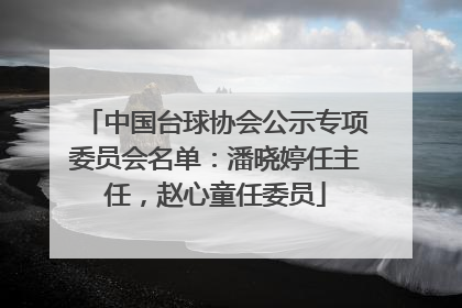 中国台球协会公示专项委员会名单：潘晓婷任主任，赵心童任委员
