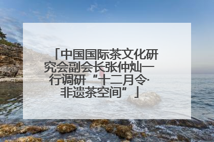中国国际茶文化研究会副会长张仲灿一行调研“十二月令·非遗茶空间”